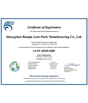 IATF16949-2009
